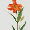 Artificial Flower 16*76CM Lily spray*3 GS-53620023-O1 Single Flowers YeahFlower is one of Chinese leading OEM manufacturers and exporters , supplying the silk flowers, wholesale artificial trees