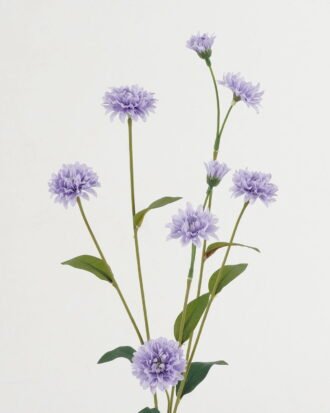 Artificial Flower 14*14*62cm Linearis *8 single stem GS-16823005-Z1 Single Flowers YeahFlower is one of Chinese leading OEM manufacturers and exporters , supplying the silk flowers, wholesale artificial trees