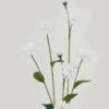 Artificial Flower Linearis 8 single stem GS-16823005_2 Artificial Flower 14*14*62cm Linearis *8 single stem GS-16823005 Single Flowers YeahFlower is one of Chinese leading OEM manufacturers and exporters , supplying the silk flowers, wholesale artificial trees