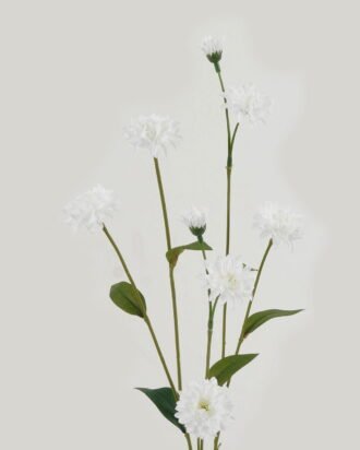 Artificial Flower 14*14*62cm Linearis *8 single stem GS-16823005 Single Flowers YeahFlower is one of Chinese leading OEM manufacturers and exporters , supplying the silk flowers, wholesale artificial trees Artificial Flower 14*14*62cm Linearis *8 single stem GS-16823005 Single Flowers YeahFlower is one of Chinese leading OEM manufacturers and exporters , supplying the silk flowers, wholesale artificial trees