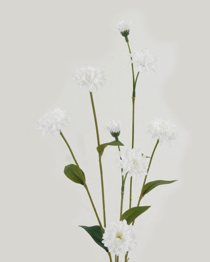 Artificial Flower Linearis 8 single stem GS-16823005_2 Artificial Flower 14*14*62cm Linearis *8 single stem GS-16823005 Single Flowers YeahFlower is one of Chinese leading OEM manufacturers and exporters , supplying the silk flowers, wholesale artificial trees