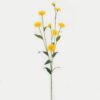 Artificial Flower Linearis 8 single stem GS-16823005_4 Artificial Flower 14*14*62cm Linearis *8 single stem GS-16823005 Single Flowers YeahFlower is one of Chinese leading OEM manufacturers and exporters , supplying the silk flowers, wholesale artificial trees