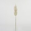 Artificial Flower 11*11*77cm Reed single stem GS-15423014 Single Flowers YeahFlower is one of Chinese leading OEM manufacturers and exporters , supplying the silk flowers, wholesale artificial trees