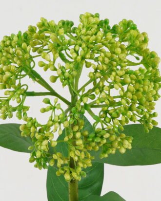 Artificial Flower 14*66.5cm Sensitive plant GS-51619003-G1 Single Flowers YeahFlower is one of Chinese leading OEM manufacturers and exporters , supplying the silk flowers, wholesale artificial trees Artificial Flower 14*66.5cm Sensitive plant GS-51619003-G1 Single Flowers YeahFlower is one of Chinese leading OEM manufacturers and exporters , supplying the silk flowers, wholesale artificial trees