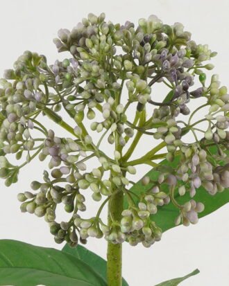 Artificial Flower 14*66.5cm Sensitive plant GS-51619003-Z1 Single Flowers YeahFlower is one of Chinese leading OEM manufacturers and exporters , supplying the silk flowers, wholesale artificial trees Artificial Flower 14*66.5cm Sensitive plant GS-51619003-Z1 Single Flowers YeahFlower is one of Chinese leading OEM manufacturers and exporters , supplying the silk flowers, wholesale artificial trees