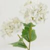 Artificial Flower Snowball 2 single stem GS-15423009-W1_1 Artificial Flower 15*15*47cm Snowball *2 single stem GS-15423009-W1 Single Flowers YeahFlower is one of Chinese leading OEM manufacturers and exporters , supplying the silk flowers, wholesale artificial trees