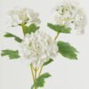 Artificial Flower Snowball 3 single stem GS-15423010-W1_1 Artificial Flower 25*25*81cm Snowball *3 single stem GS-15423010-W1 Single Flowers YeahFlower is one of Chinese leading OEM manufacturers and exporters , supplying the silk flowers, wholesale artificial trees