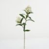 Artificial Flower 25*25*75cm Star cluster *2 single stem GS-15423007-B2 Single Flowers YeahFlower is one of Chinese leading OEM manufacturers and exporters , supplying the silk flowers, wholesale artificial trees
