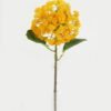 Artificial Flower 16*54cm Wild fruit GS-51619009-O1 Single Flowers YeahFlower is one of Chinese leading OEM manufacturers and exporters , supplying the silk flowers, wholesale artificial trees