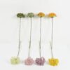 Artificial Plant 15*15*64cm Flower single stem GS-51623005 Leaves&Sprays&Foliages YeahFlower is one of Chinese leading OEM manufacturers and exporters , supplying the silk flowers, wholesale artificial trees
