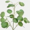 Artificial Plant 26*26*57cm leaf *3 single stem GS-15423005-G1 Leaves&Sprays&Foliages YeahFlower is one of Chinese leading OEM manufacturers and exporters , supplying the silk flowers, wholesale artificial trees