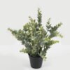 Artificial Table Plants 27*27*33cm Eucalyptus in PP pot GS-03321146RC-G2 Potted Flowers&Plants YeahFlower is one of Chinese leading OEM manufacturers and exporters , supplying the silk flowers, wholesale artificial trees