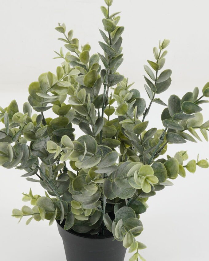 Artificial Table Plants 27*27*33cm Eucalyptus in PP pot GS-03321146RC-G2 Potted Flowers&Plants YeahFlower is one of Chinese leading OEM manufacturers and exporters , supplying the silk flowers, wholesale artificial trees