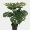 Artificial Table Plants Monstera in pp pot lvs9 GS-59523001 Artificial Table Plants 40*40*54CM Monstera in pp pot/lvs9 GS-59523001 Potted Flowers&Plants YeahFlower is one of Chinese leading OEM manufacturers and exporters , supplying the silk flowers, wholesale artificial trees