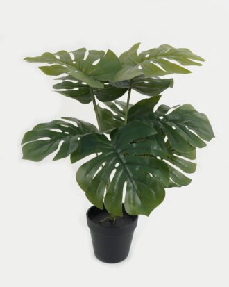 Artificial Table Plants 40*40*54CM Monstera in pp pot/lvs9 GS-59523001 Potted Flowers&Plants YeahFlower is one of Chinese leading OEM manufacturers and exporters , supplying the silk flowers, wholesale artificial trees
