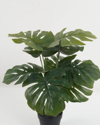 Artificial Table Plants 40*40*54CM Monstera in pp pot/lvs9 GS-59523001 Potted Flowers&Plants YeahFlower is one of Chinese leading OEM manufacturers and exporters , supplying the silk flowers, wholesale artificial trees