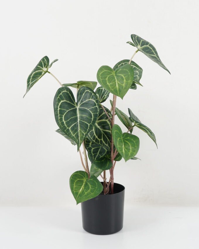 Artificial Tree 63CM Leaves in pp pot GS-14522051 Tree&Plant YeahFlower is one of Chinese leading OEM manufacturers and exporters , supplying the silk flowers, wholesale artificial trees