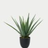 Artificial Tree 35*35*43cm Aloe in PP pot GS-59523007 Tree&Plant YeahFlower is one of Chinese leading OEM manufacturers and exporters , supplying the silk flowers, wholesale artificial trees