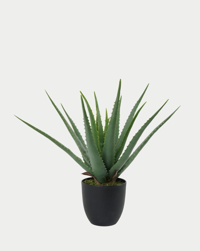 Artificial Tree 35*35*43cm Aloe in PP pot GS-59523007 Tree&Plant YeahFlower is one of Chinese leading OEM manufacturers and exporters , supplying the silk flowers, wholesale artificial trees
