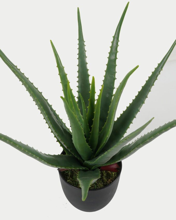 Artificial Tree 35*35*43cm Aloe in PP pot GS-59523007 Tree&Plant YeahFlower is one of Chinese leading OEM manufacturers and exporters , supplying the silk flowers, wholesale artificial trees