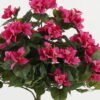 Artificial Tree 60*60*95cm Bougainvillea potted flower GS-30622045-R1 Tree&Plant YeahFlower is one of Chinese leading OEM manufacturers and exporters , supplying the silk flowers, wholesale artificial trees