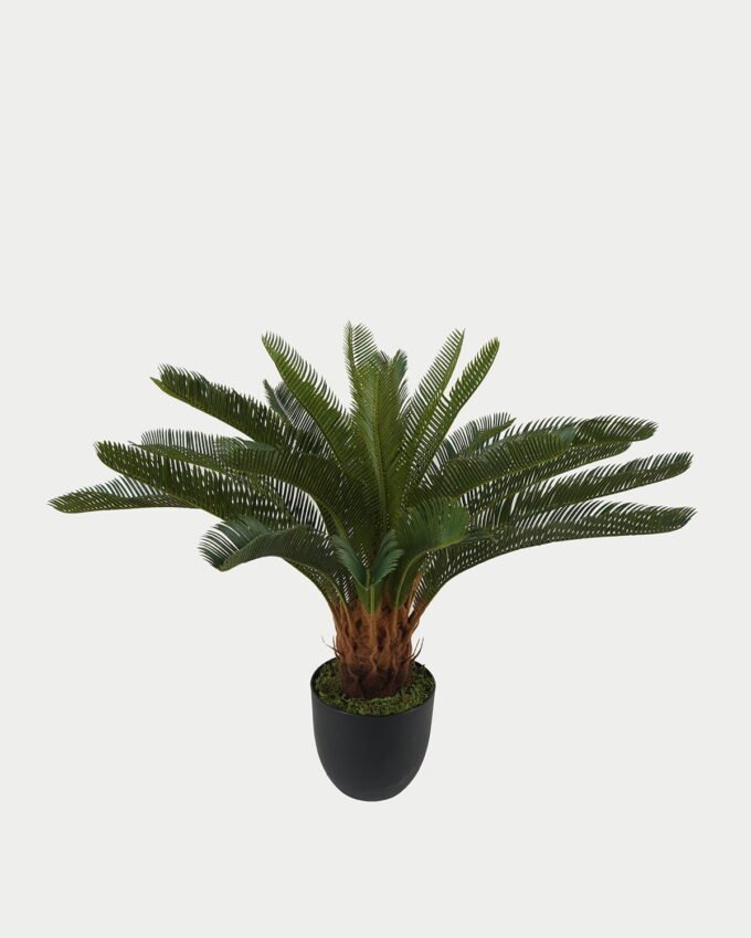 Artificial Tree 76*76*64cm Sago cycas in PP pot GS-59523005 Tree&Plant YeahFlower is one of Chinese leading OEM manufacturers and exporters , supplying the silk flowers, wholesale artificial trees