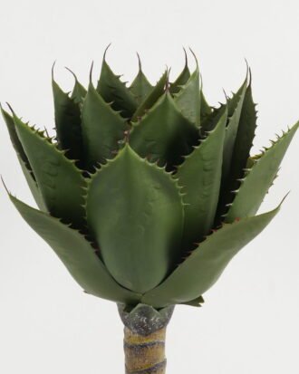 Artificial Tree 45*45*70cm plant 19LVS in PP pot GS-43423002 Tree&Plant YeahFlower is one of Chinese leading OEM manufacturers and exporters , supplying the silk flowers, wholesale artificial trees