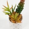 Artificial succulent  GS-51722185 Succulent YeahFlower is one of Chinese leading OEM manufacturers and exporters , supplying the silk flowers, wholesale artificial trees