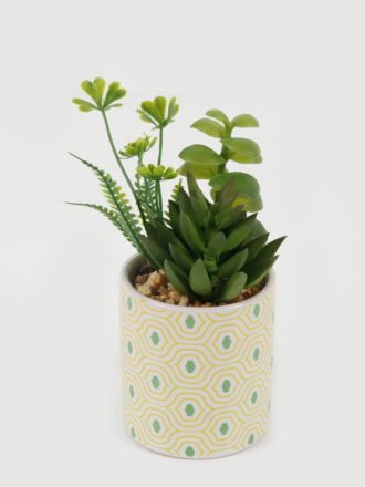 Artificial succulent  GS-51722185 Succulent 3,000+ sqm showroom with thousands of artificial flowers, plants & trees ready for global sourcing.