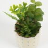 Artificial succulent GS-51722186_1 Artificial succulent GS-51722186 Succulent YeahFlower is one of Chinese leading OEM manufacturers and exporters , supplying the silk flowers, wholesale artificial trees