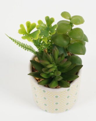 Artificial succulent GS-51722186 Succulent YeahFlower is one of Chinese leading OEM manufacturers and exporters , supplying the silk flowers, wholesale artificial trees Artificial succulent GS-51722186 Succulent YeahFlower is one of Chinese leading OEM manufacturers and exporters , supplying the silk flowers, wholesale artificial trees