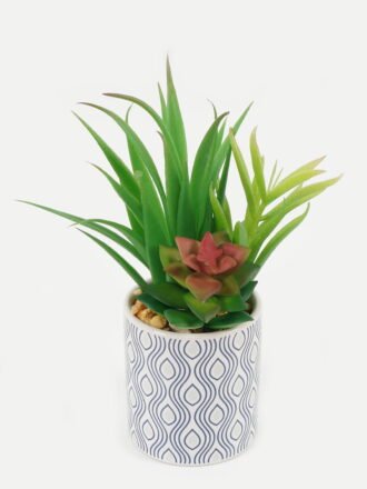 Artificial succulent 25*25*18cm Ball cactus cactus GS-69223001 Succulent 3,000+ sqm showroom with thousands of artificial flowers, plants & trees ready for global sourcing.