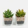 Artificial succulent 5.5*5*8.6cm succulent plants in glass pot GS-51720091 Succulent YeahFlower is one of Chinese leading OEM manufacturers and exporters , supplying the silk flowers, wholesale artificial trees