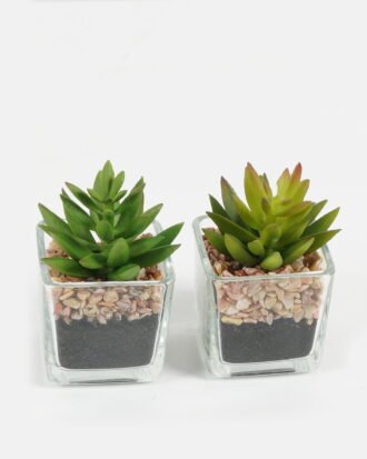 Artificial succulent 5.5*5*8.6cm succulent plants in glass pot GS-51720091 Succulent YeahFlower is one of Chinese leading OEM manufacturers and exporters , supplying the silk flowers, wholesale artificial trees Artificial succulent 5.5*5*8.6cm succulent plants in glass pot GS-51720091 Succulent YeahFlower is one of Chinese leading OEM manufacturers and exporters , supplying the silk flowers, wholesale artificial trees