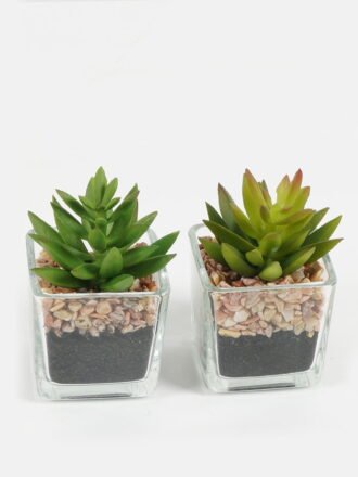 Artificial succulent 7*6.5*7.5cm succulent plants in glass pot GS-51720096 Succulent 3,000+ sqm showroom with thousands of artificial flowers, plants & trees ready for global sourcing.