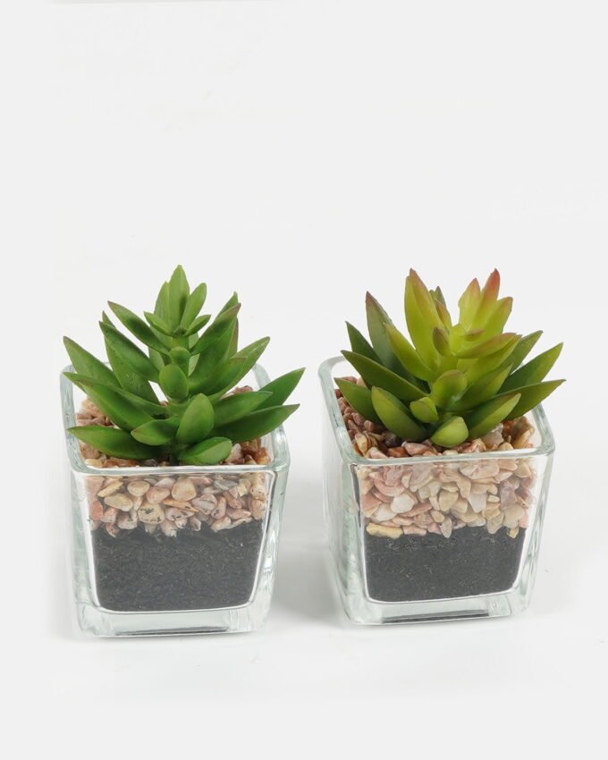 Artificial succulent 5.5*5*8.6cm succulent plants in glass pot GS-51720091 Succulent YeahFlower is one of Chinese leading OEM manufacturers and exporters , supplying the silk flowers, wholesale artificial trees