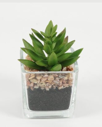 Artificial succulent 5.5*5*8.6cm succulent plants in glass pot GS-51720091 Succulent YeahFlower is one of Chinese leading OEM manufacturers and exporters , supplying the silk flowers, wholesale artificial trees Artificial succulent 5.5*5*8.6cm succulent plants in glass pot GS-51720091 Succulent YeahFlower is one of Chinese leading OEM manufacturers and exporters , supplying the silk flowers, wholesale artificial trees