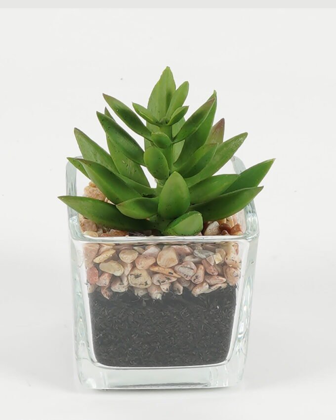 Artificial succulent 5.5*5*8.6cm succulent plants in glass pot GS-51720091 Succulent YeahFlower is one of Chinese leading OEM manufacturers and exporters , supplying the silk flowers, wholesale artificial trees