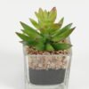 Artificial succulent 5.5*5*8.6cm succulent plants in glass pot GS-51720091 Succulent YeahFlower is one of Chinese leading OEM manufacturers and exporters , supplying the silk flowers, wholesale artificial trees