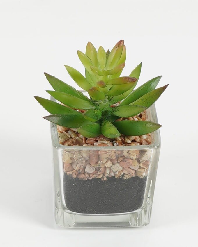 Artificial succulent 5.5*5*8.6cm succulent plants in glass pot GS-51720091 Succulent YeahFlower is one of Chinese leading OEM manufacturers and exporters , supplying the silk flowers, wholesale artificial trees
