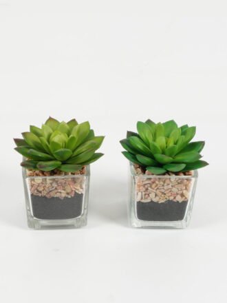 Artificial succulent 5.5*5*8.6cm succulent plants in glass pot GS-51720091 Succulent 3,000+ sqm showroom with thousands of artificial flowers, plants & trees ready for global sourcing.