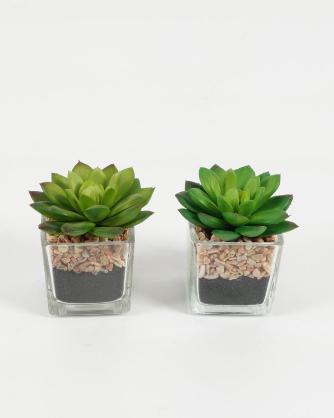 Artificial succulent 7*6.5*7.5cm succulent plants in glass pot GS-51720096 Succulent YeahFlower is one of Chinese leading OEM manufacturers and exporters , supplying the silk flowers, wholesale artificial trees