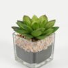 Artificial succulent 7*6.5*7.5cm succulent plants in glass pot GS-51720096 Succulent YeahFlower is one of Chinese leading OEM manufacturers and exporters , supplying the silk flowers, wholesale artificial trees