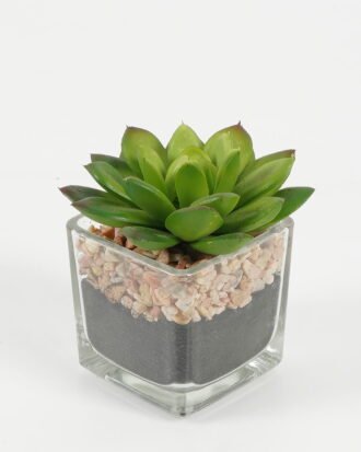 Artificial succulent 7*6.5*7.5cm succulent plants in glass pot GS-51720096 Succulent YeahFlower is one of Chinese leading OEM manufacturers and exporters , supplying the silk flowers, wholesale artificial trees Artificial succulent 7*6.5*7.5cm succulent plants in glass pot GS-51720096 Succulent YeahFlower is one of Chinese leading OEM manufacturers and exporters , supplying the silk flowers, wholesale artificial trees