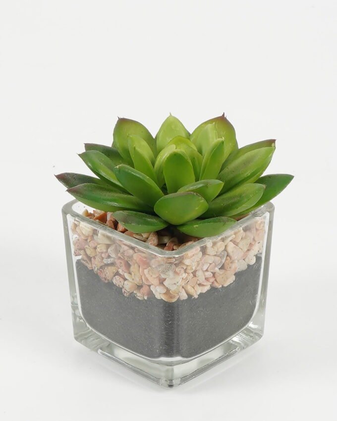 Artificial succulent 7*6.5*7.5cm succulent plants in glass pot GS-51720096 Succulent YeahFlower is one of Chinese leading OEM manufacturers and exporters , supplying the silk flowers, wholesale artificial trees
