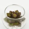 Artificial succulent succulent plants in glass pot GS-51720183_1 Artificial succulent 7*7*6cm succulent plants in glass pot GS-51720183 Succulent YeahFlower is one of Chinese leading OEM manufacturers and exporters , supplying the silk flowers, wholesale artificial trees