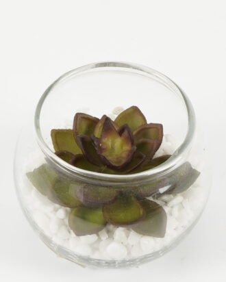 Artificial succulent 7*7*6cm succulent plants in glass pot GS-51720183 Succulent YeahFlower is one of Chinese leading OEM manufacturers and exporters , supplying the silk flowers, wholesale artificial trees Artificial succulent 7*7*6cm succulent plants in glass pot GS-51720183 Succulent YeahFlower is one of Chinese leading OEM manufacturers and exporters , supplying the silk flowers, wholesale artificial trees