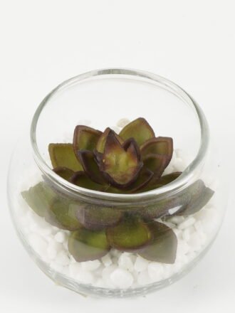 Artificial succulent 7*7*6cm succulent plants in glass pot GS-51720185 Succulent 3,000+ sqm showroom with thousands of artificial flowers, plants & trees ready for global sourcing.
