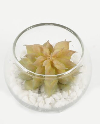 Artificial succulent 7*7*6cm succulent plants in glass pot GS-51720185 Succulent YeahFlower is one of Chinese leading OEM manufacturers and exporters , supplying the silk flowers, wholesale artificial trees Artificial succulent 7*7*6cm succulent plants in glass pot GS-51720185 Succulent YeahFlower is one of Chinese leading OEM manufacturers and exporters , supplying the silk flowers, wholesale artificial trees
