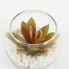 Artificial succulent 7*7*6cm succulent plants in glass pot GS-51720185 Succulent YeahFlower is one of Chinese leading OEM manufacturers and exporters , supplying the silk flowers, wholesale artificial trees
